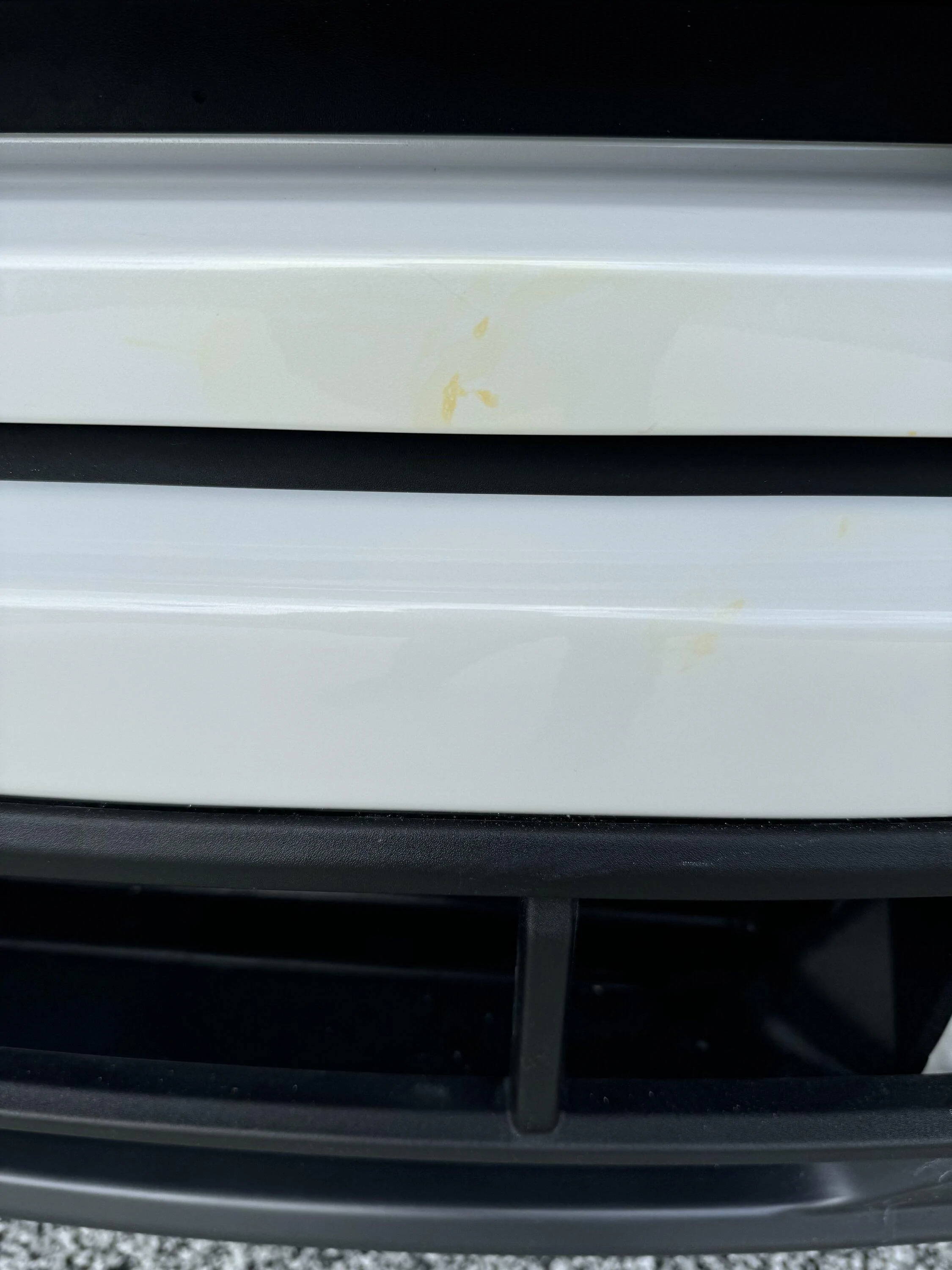 Ford F-150 Lightning Bug stain on front bumper IMG_7570