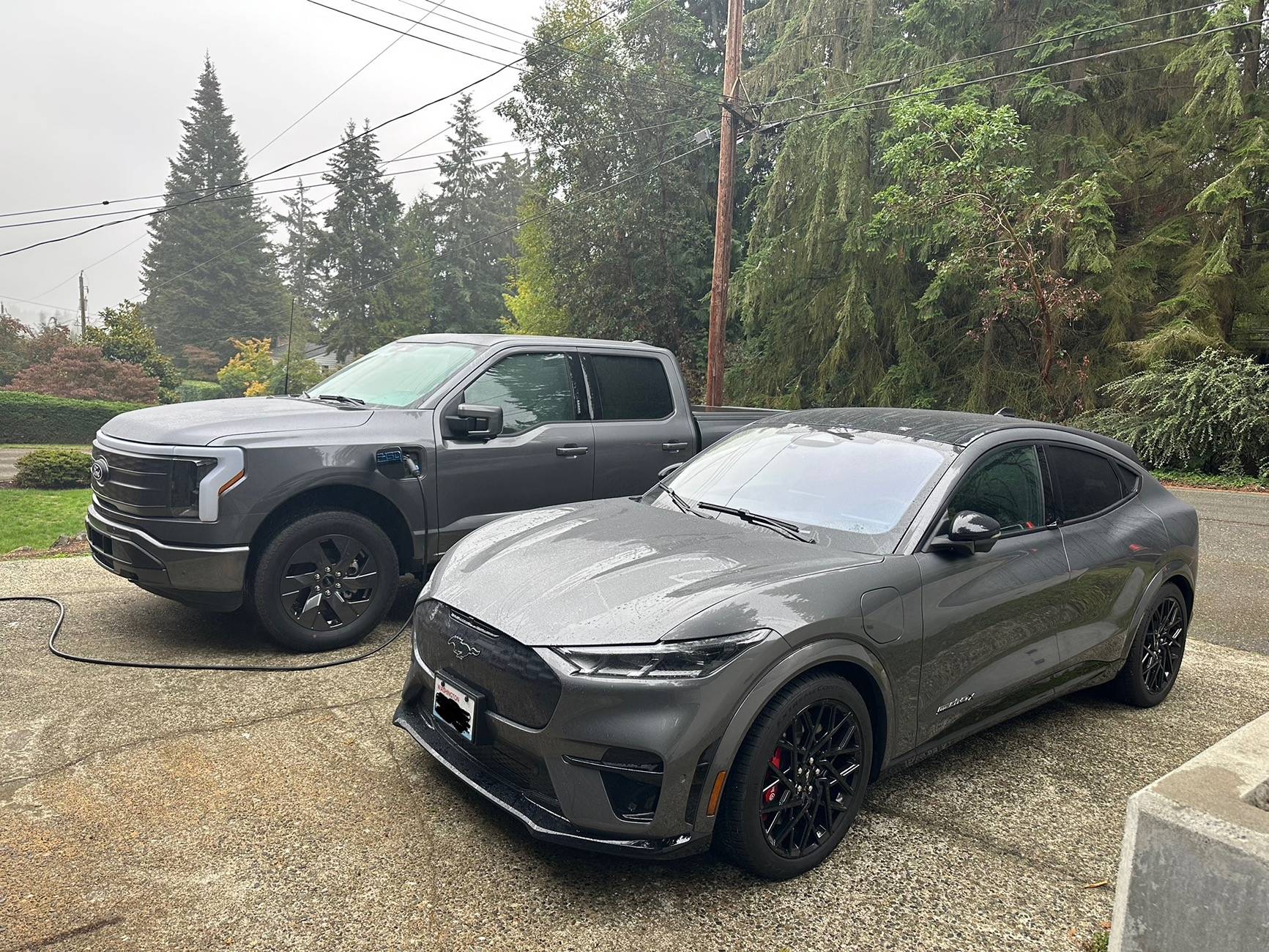 Ford F-150 Lightning Introductions & Welcome Thread 👋 IMG_4641