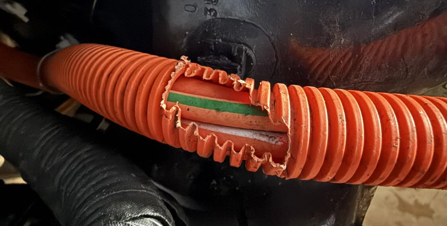 Ford F-150 Lightning "Stop safely now", 12V battery loosing charge, and rodent damage Screenshot 2024-12-19 at 2.53.20 PM