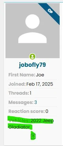 Ford F-150 Lightning Pickup my new Lightning Flash next week! 1740191313023-qk