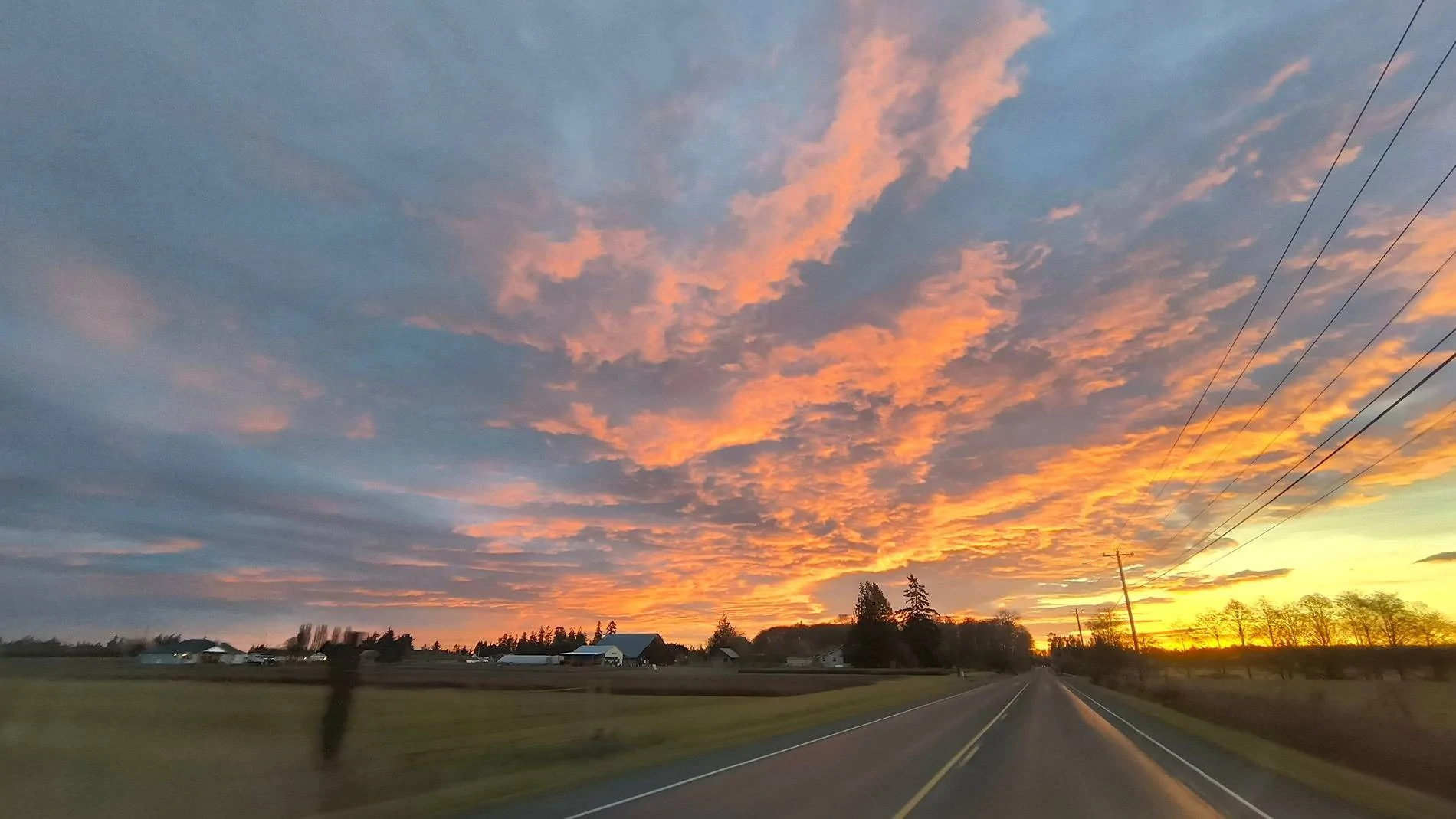 Ford F-150 Lightning Show a picture from your daily commute!.. 1000006728