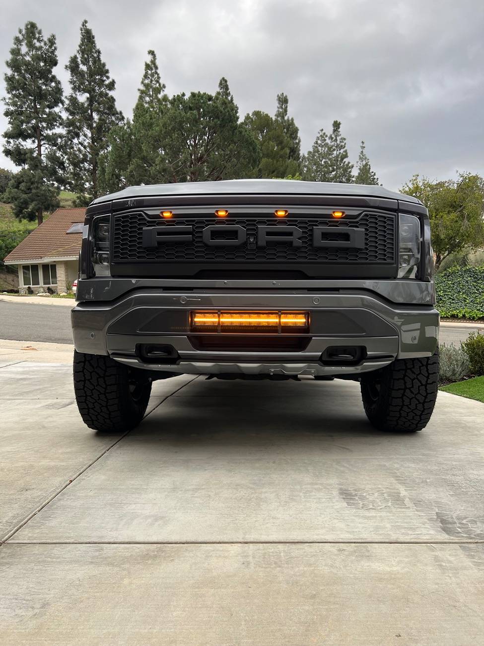 Ford F-150 Lightning 22 IBS with some raptor touches IMG_2641