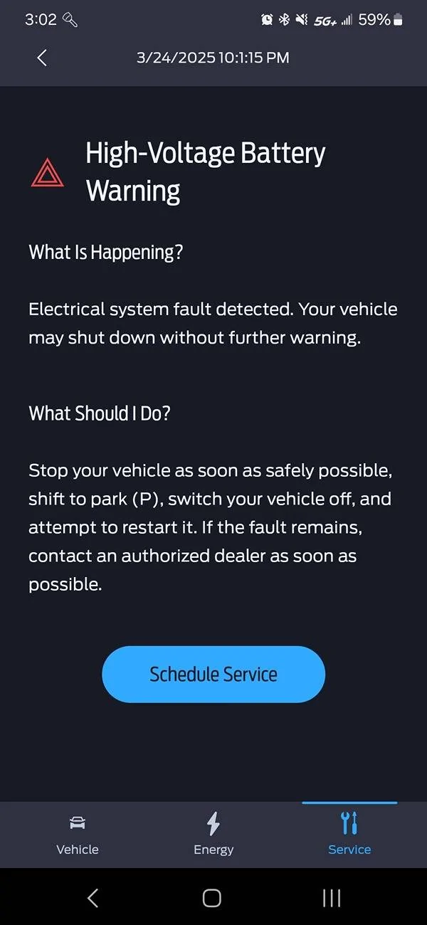 Ford F-150 Lightning Stop Safely Now 1000007683