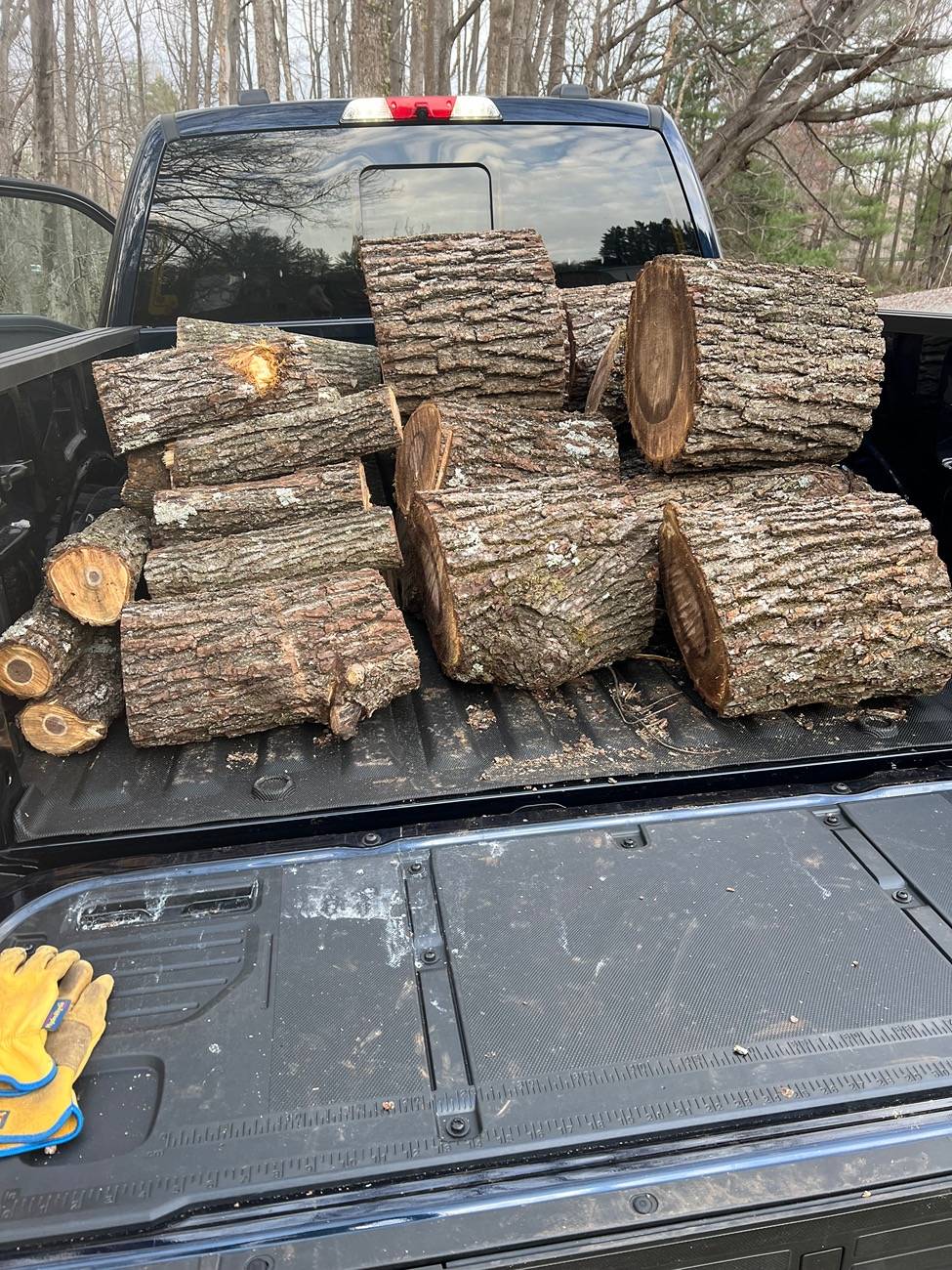 Ford F-150 Lightning Pics of Lightning Trucks Doing Truck Things. Post Yours! 📸 IMG_4685