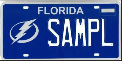 Ford F-150 Lightning Personalized vanity license plate ideas for your Lightning ? 1743815329236-to