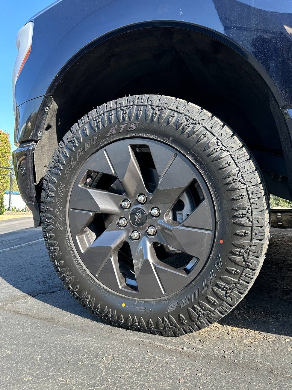 Ford F-150 Lightning Front Eibach shocks + LT285 /60 R20 = 3" level IMG_7607.JPG