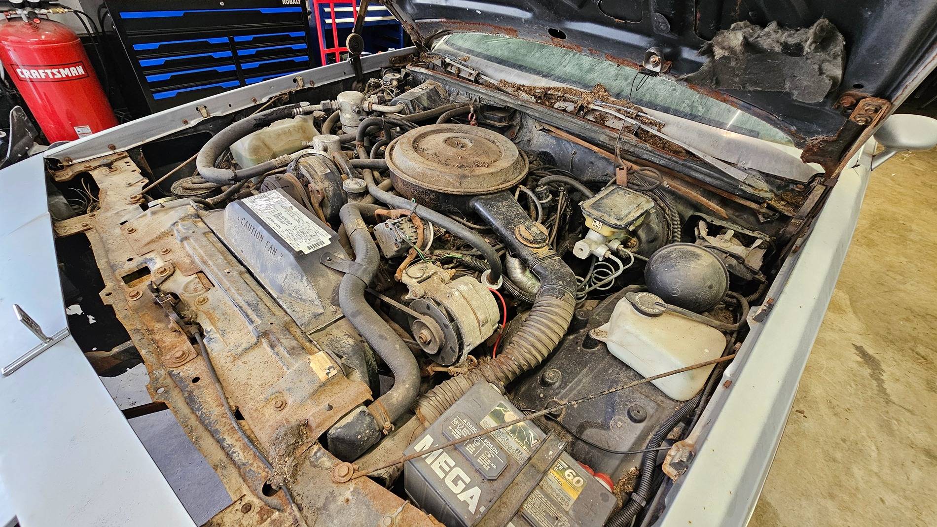 Ford F-150 Lightning Tow Report: Ford Lightning vs. 4500lbs of Raccoon-Covered History 20250413_141000