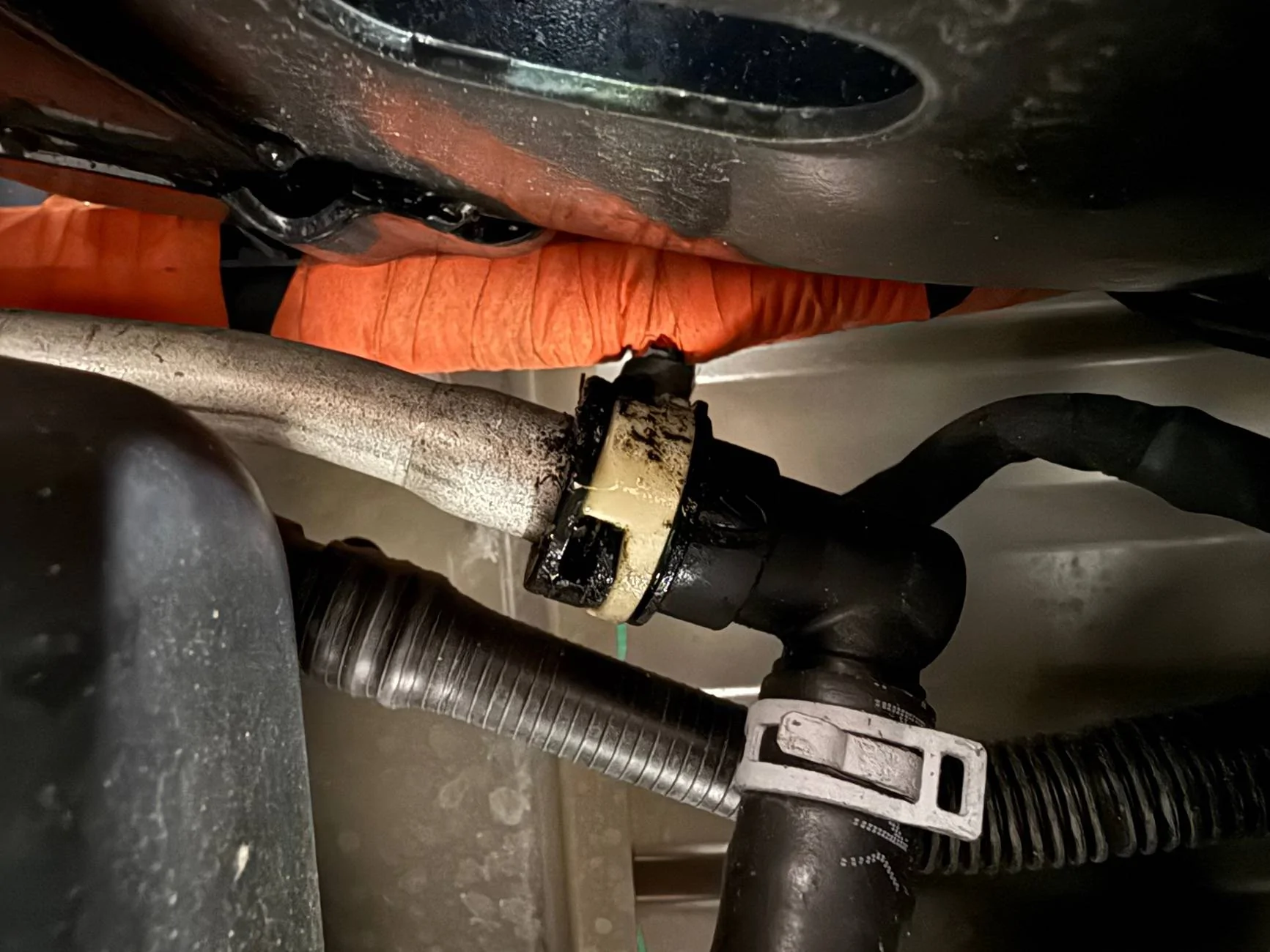 Ford F-150 Lightning Coolant Leak driver rear IMG_9400