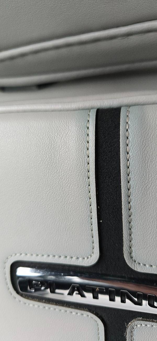 Ford F-150 Lightning Ford Replaced my Entire Leather Interior 1000017183