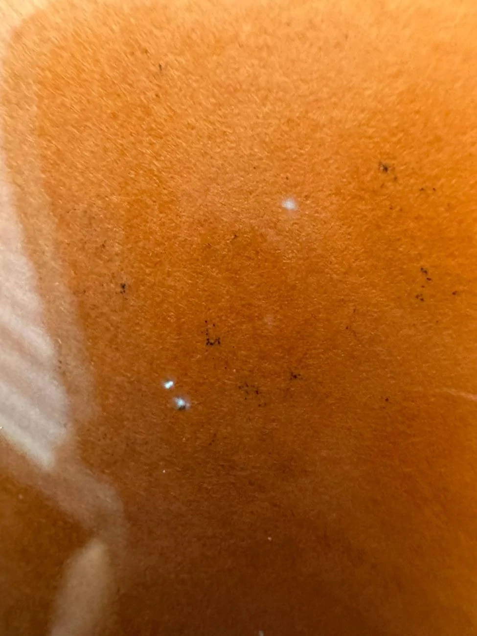 Ford F-150 Lightning Rock vs windshield IMG_6482