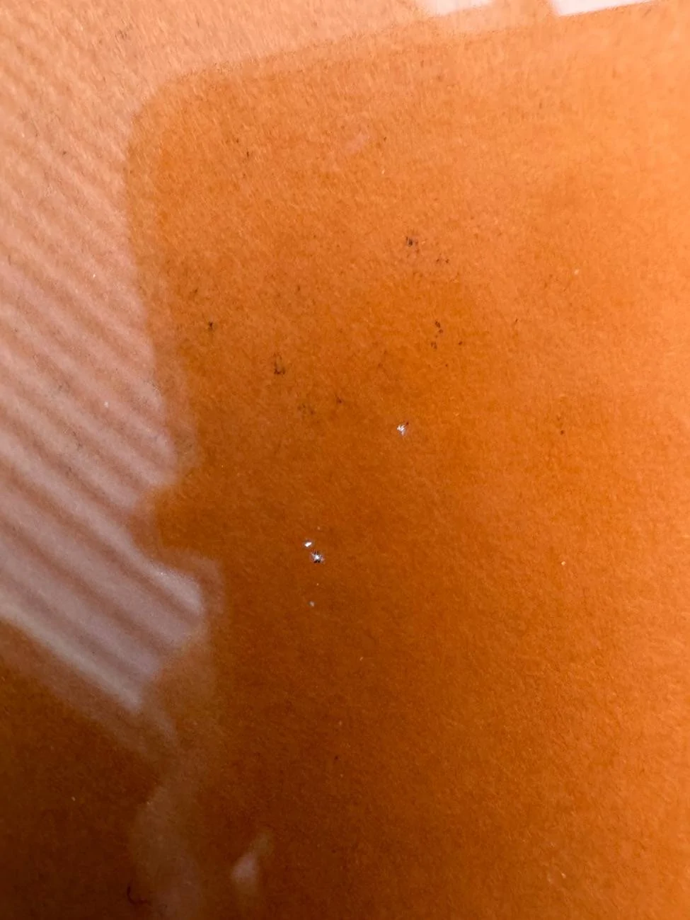 Ford F-150 Lightning Rock vs windshield IMG_6481