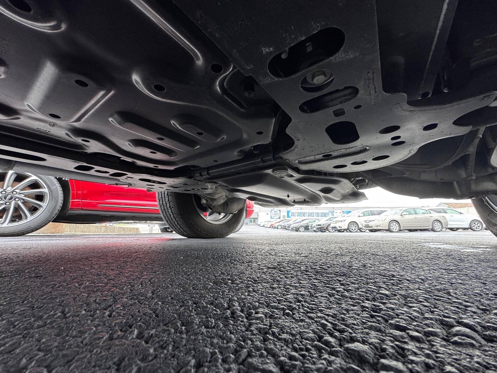 Ford F-150 Lightning XLT ER IMG_6213