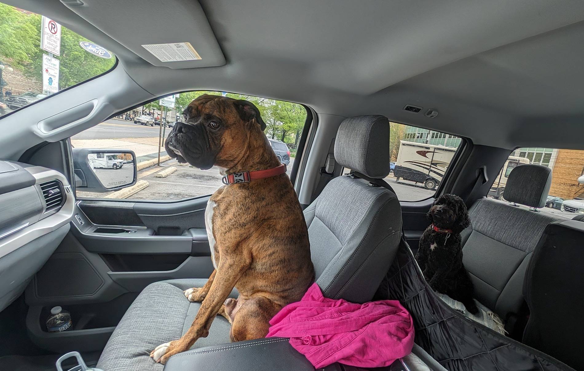 Ford F-150 Lightning F150 Lightning FORScan thread - Version 2 Canine_copilots