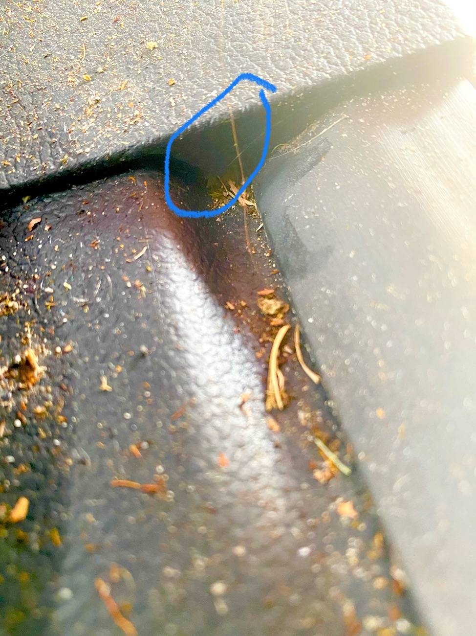 Ford F-150 Lightning PSA: Check under your door sill trim if you live in the rust belt!! IMG_2217