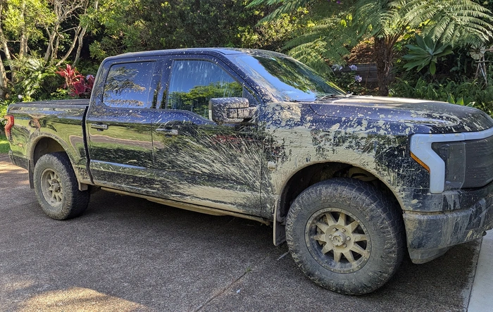 Thunderbolt returns to Bellthorpe National Park (Pics and Videos)