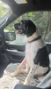 1782756822254-2z.webp