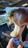 1782756910381-wa.webp
