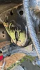 shortened pins.webp
