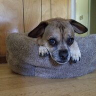 BoomerRocco