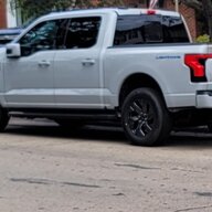 Grey Ghost